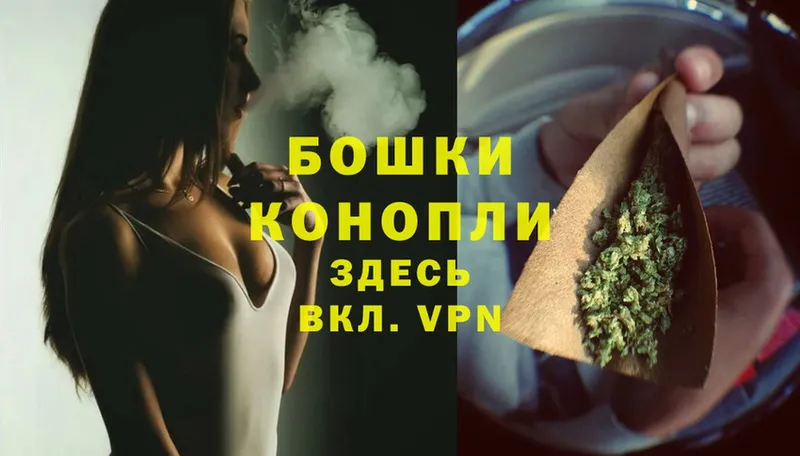 Бошки марихуана SATIVA & INDICA  Купино 